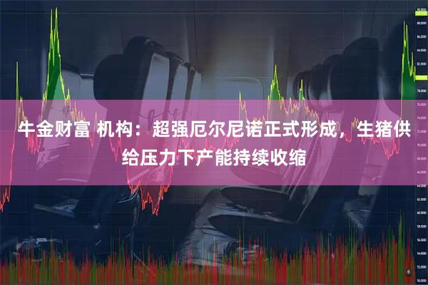 牛金财富 机构：超强厄尔尼诺正式形成，生猪供给压力下产能持续收缩