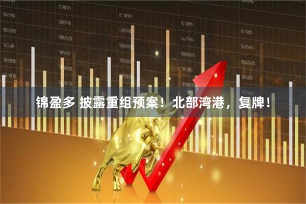 锦盈多 披露重组预案！北部湾港，复牌！