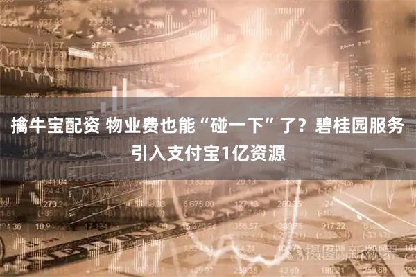 擒牛宝配资 物业费也能“碰一下”了?碧桂园服务引入支付宝1亿资源